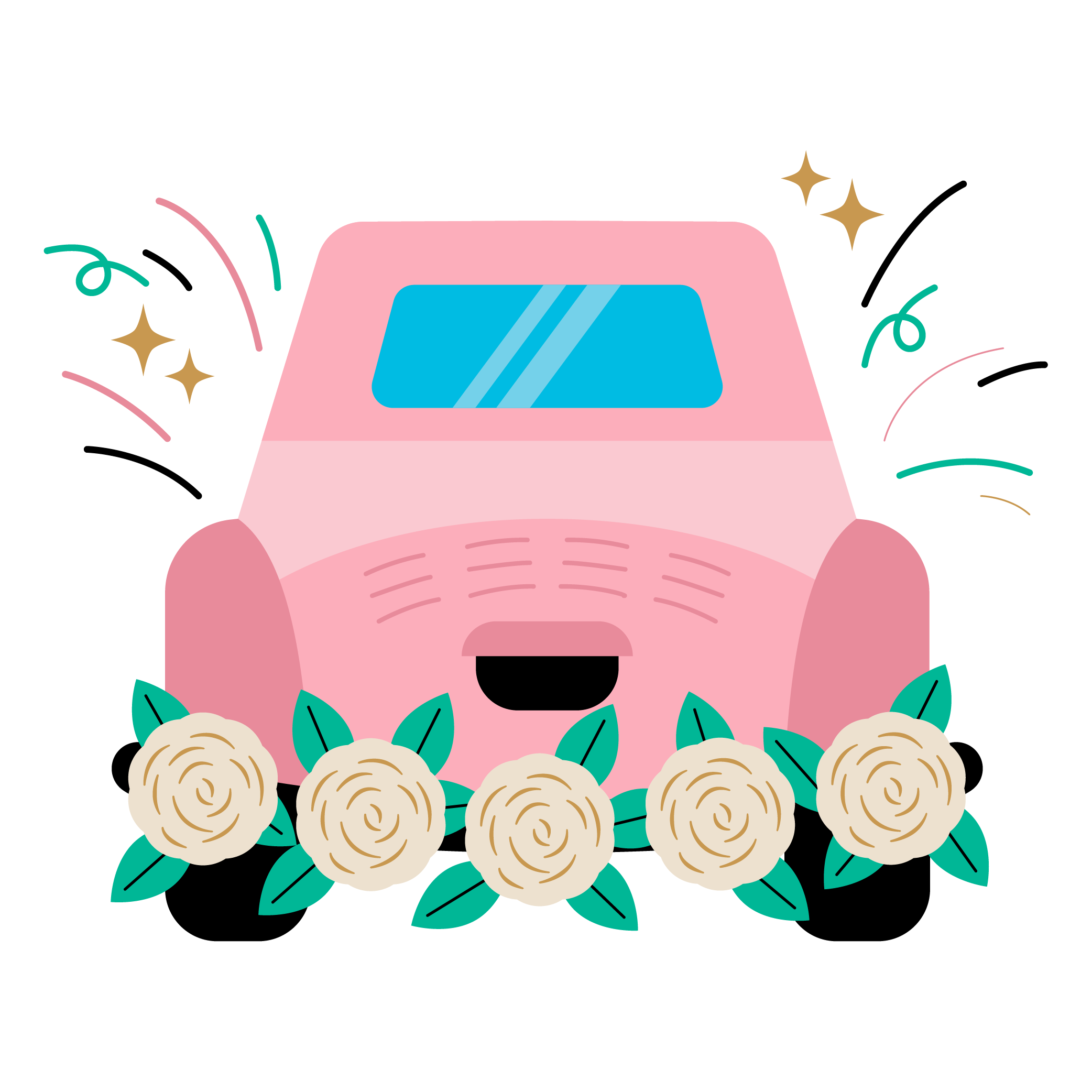 Ampio parco auto